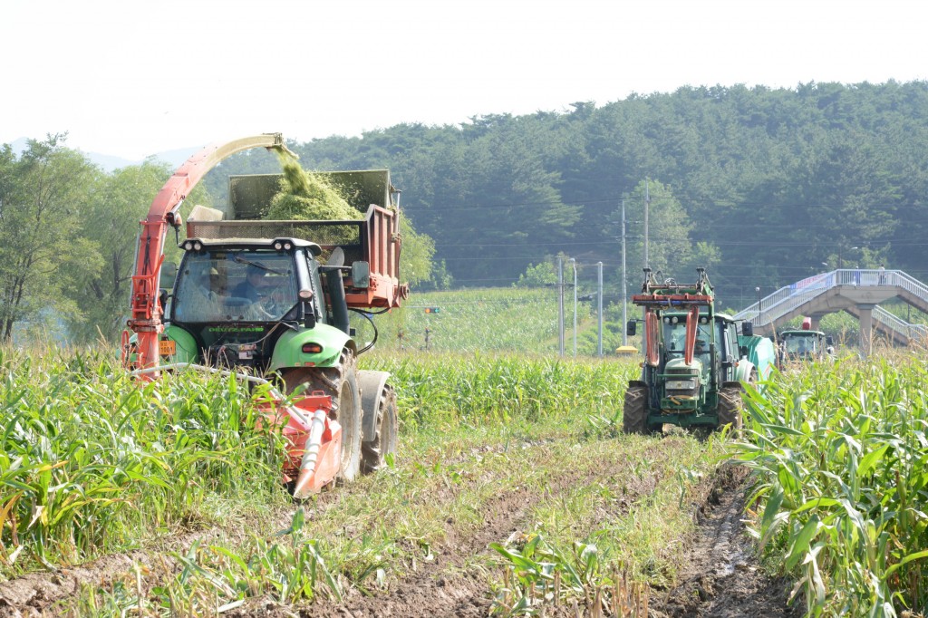 축산조사료재배격려_(23)